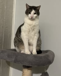 C103 litter Junior - Photo 1