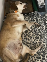Murray - Photo 3