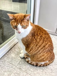 Lonnie AKA Alani - Photo 3