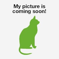 C322 Litter Cinnamon - Photo 1