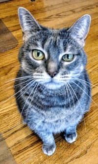 Meredith Grey (Mar-Bear) - Photo 5