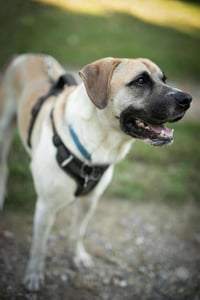 Chance - Photo 8