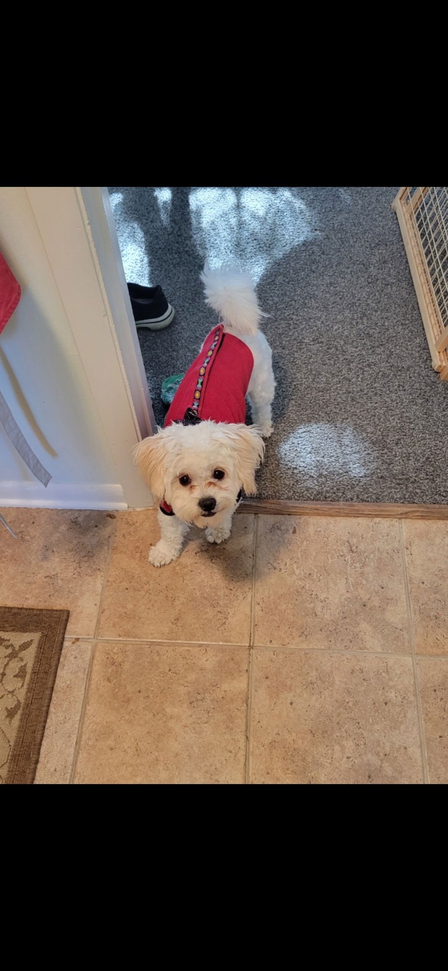 Rocki APPLICATIONS CLOSED - Photo 3