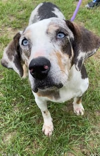 Darla - Photo 4