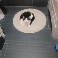 Millie - Photo 3