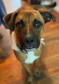 Jethro - Photo 2