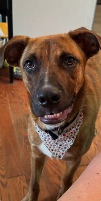 Jethro - Photo 3