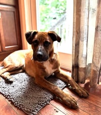 Jethro - Photo 4