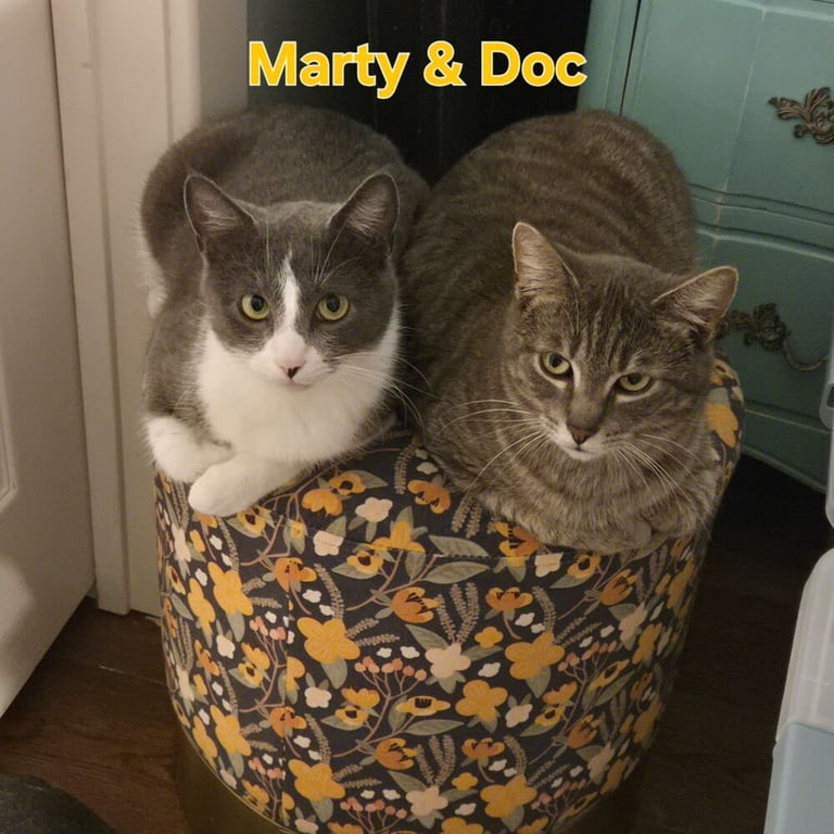 Marty & Doc (bonded pair) Image