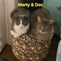 Marty & Doc (bonded pair) - Photo 1