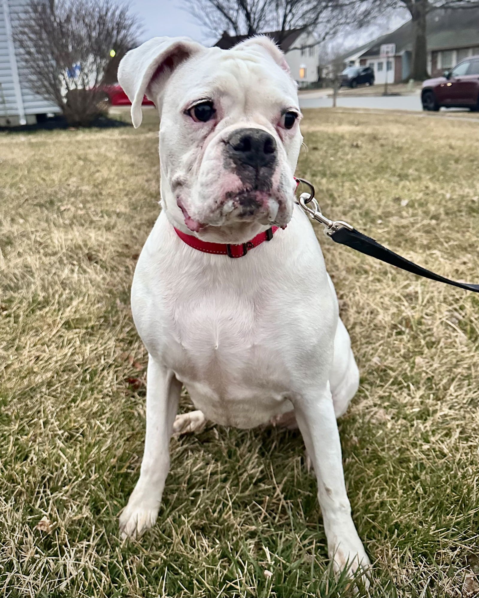 Bonded - Lilly - Photo 3