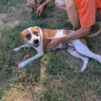 Laverne - Photo 5