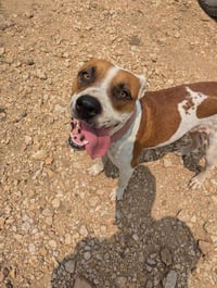 Laverne - Photo 7