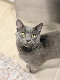 Bob Barker - Photo 1