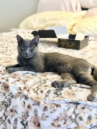 Bob Barker - Photo 4