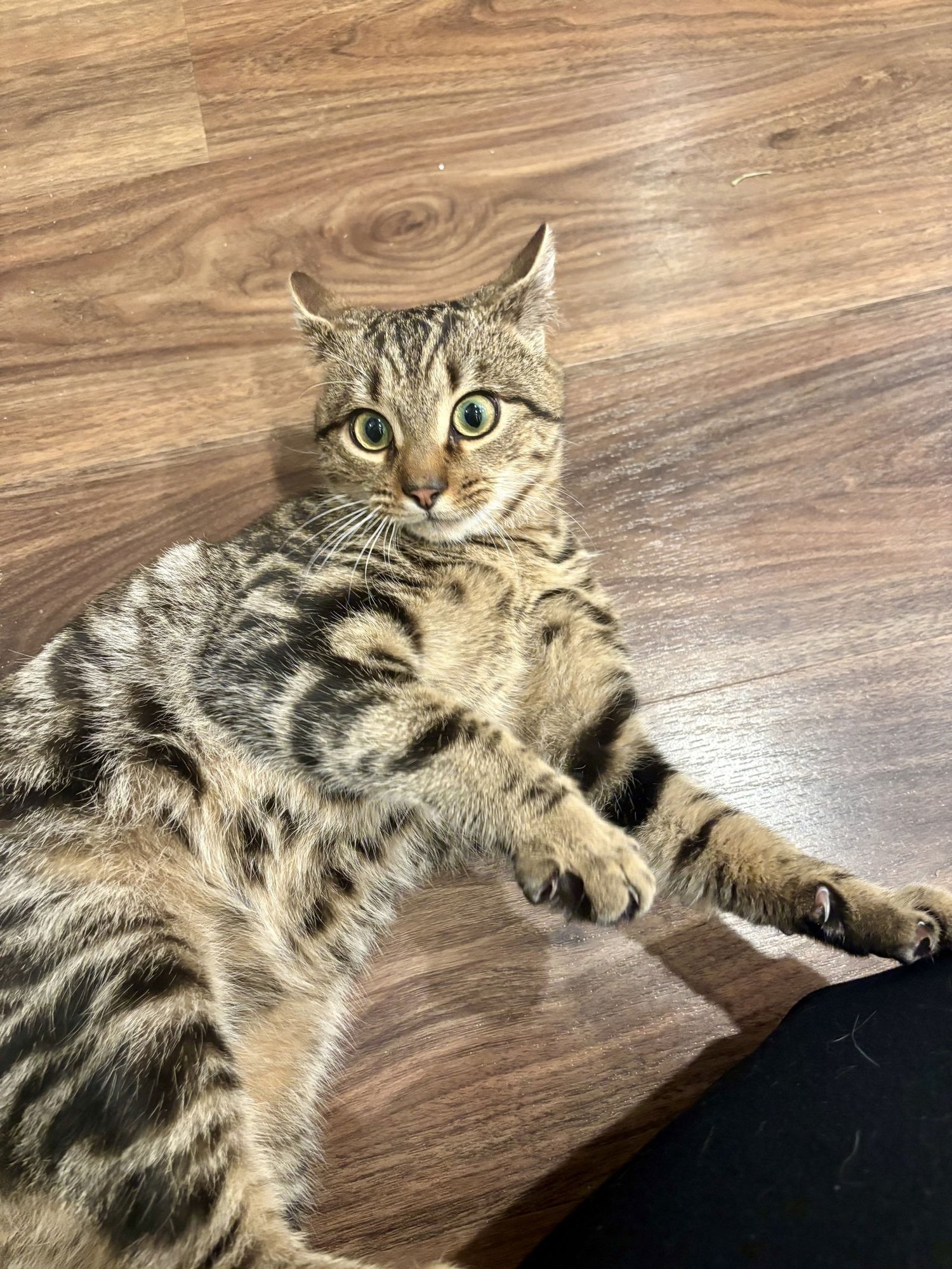 Bedroom Eyes - Photo 4