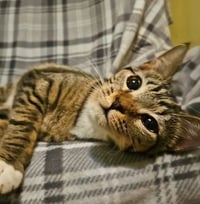 *Samara - Photo 7