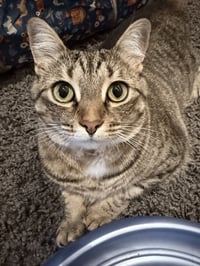 *Lucy - Photo 3