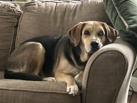 Moseley - Photo 3