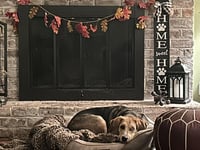Moseley - Photo 5