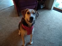 Moseley - Photo 9
