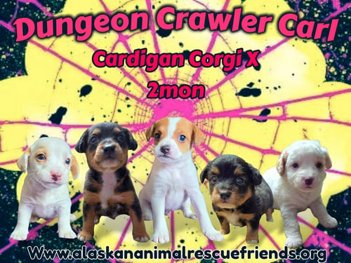 DUNGEON CRAWLER LITTER
