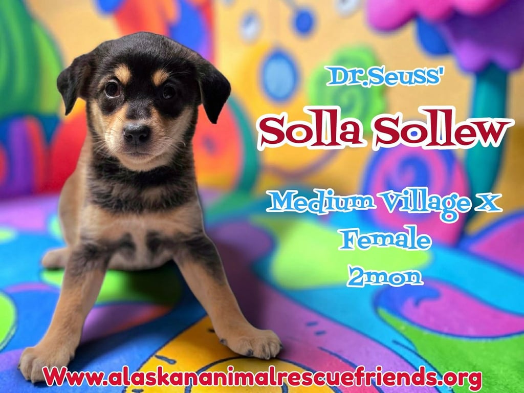 Dr. Suess Litter Image