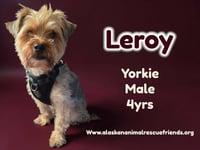 Leroy - Photo 1