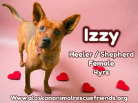 Izzy - Photo 1