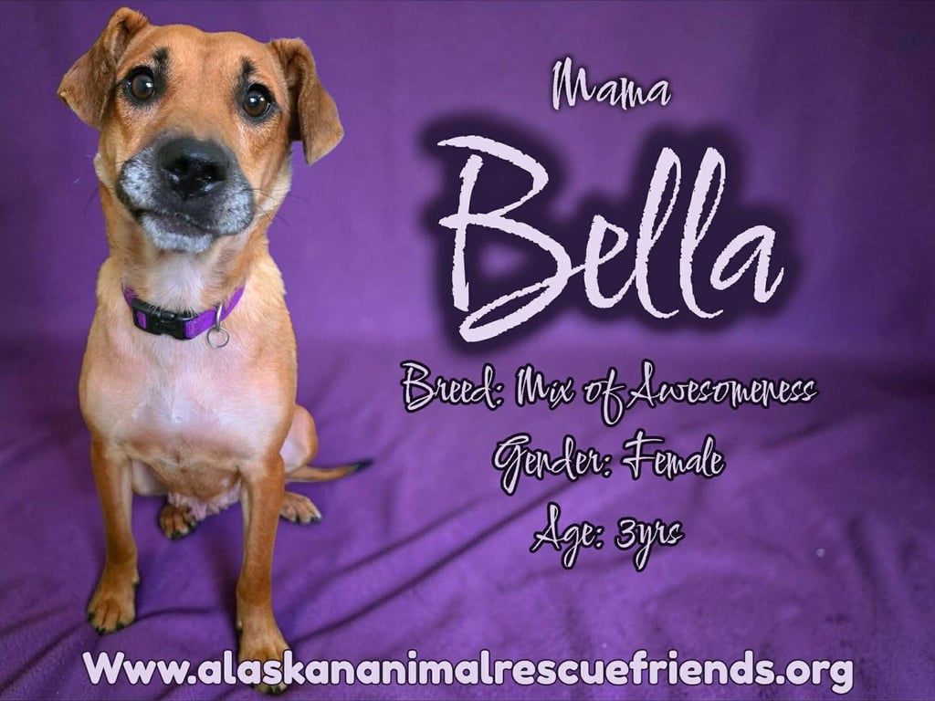 Bella Image