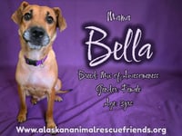Bella - Photo 1