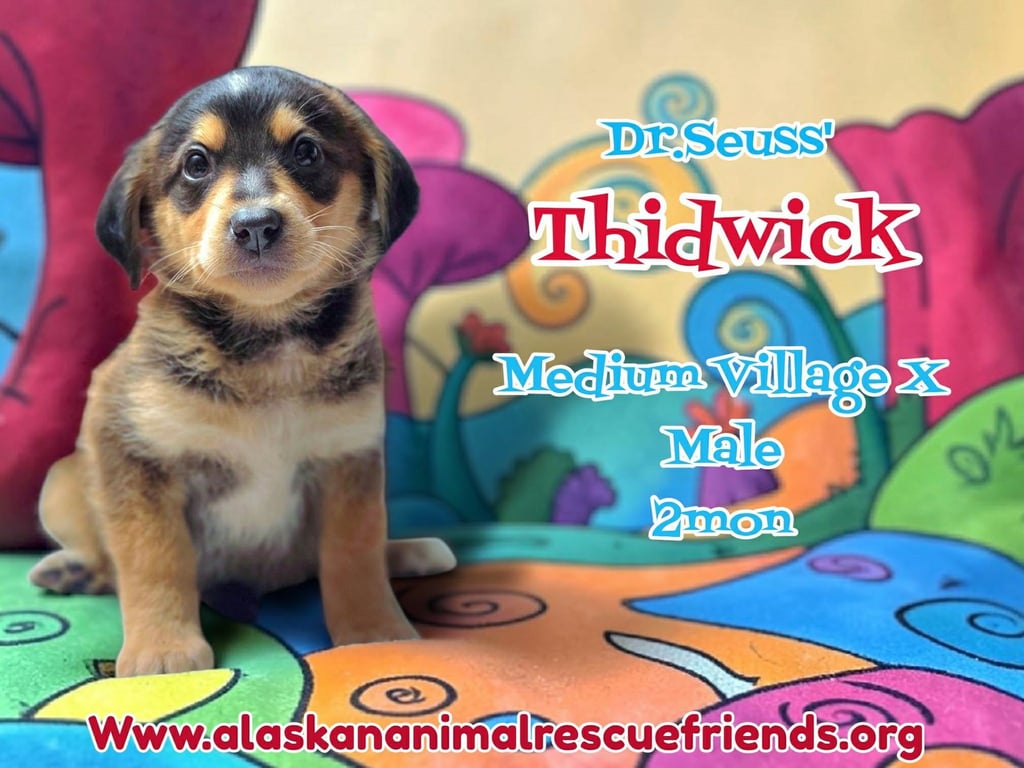 Dr. Suess Litter - Thidwick Image