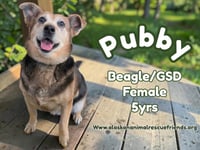Pubby - Photo 1
