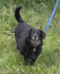 Daisy Bella - Photo 2