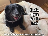 Daisy Bella - Photo 3