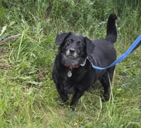 Daisy Bella - Photo 1