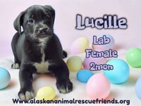 Lucille - Photo 1