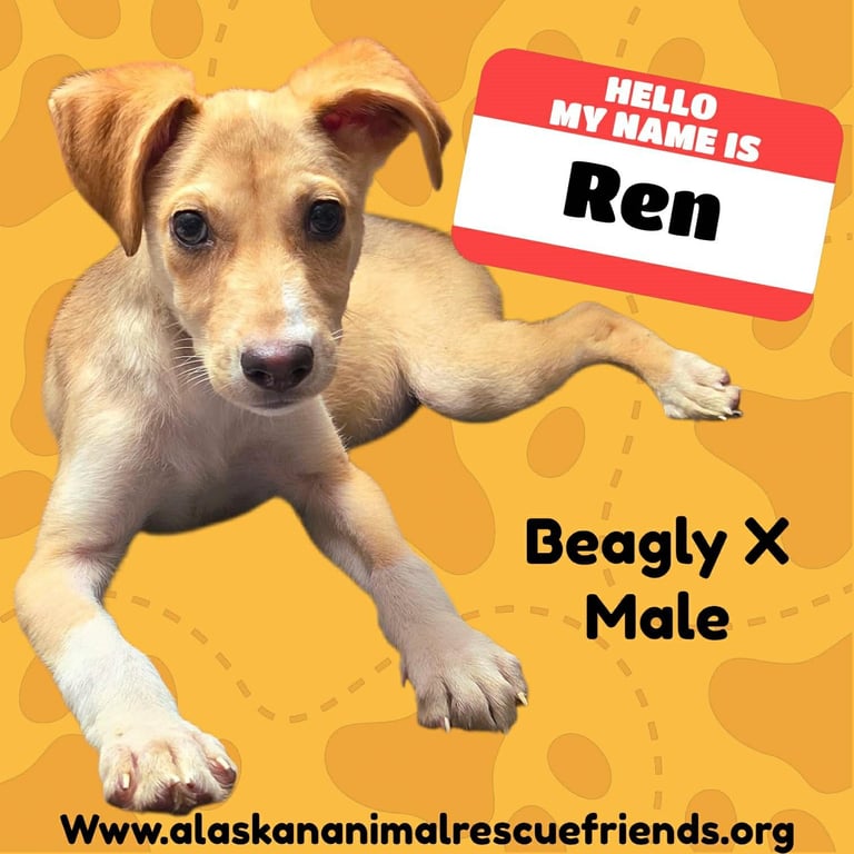Ren Image