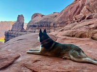 Skye - Photo 4