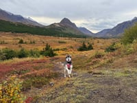 Skye - Photo 2