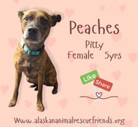 Peaches - Photo 1