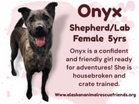 Onyx - Photo 2