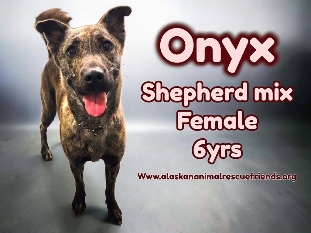 Onyx Image