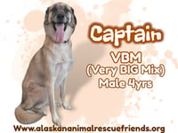 Captain - Photo 1