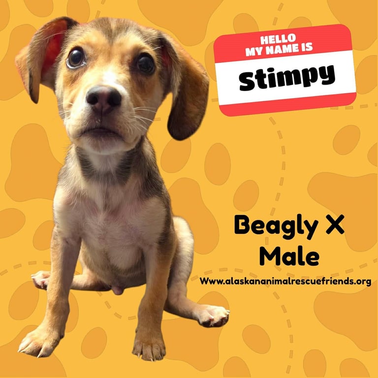 Stimpy Image