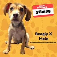 Stimpy - Photo 1