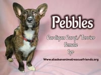 Pebbles - Photo 1