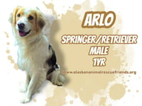 Arlo - Photo 1