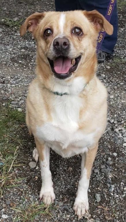 Bella Image
