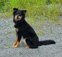 Max - Photo 2